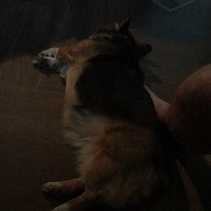 Meet your Posher, Lynn